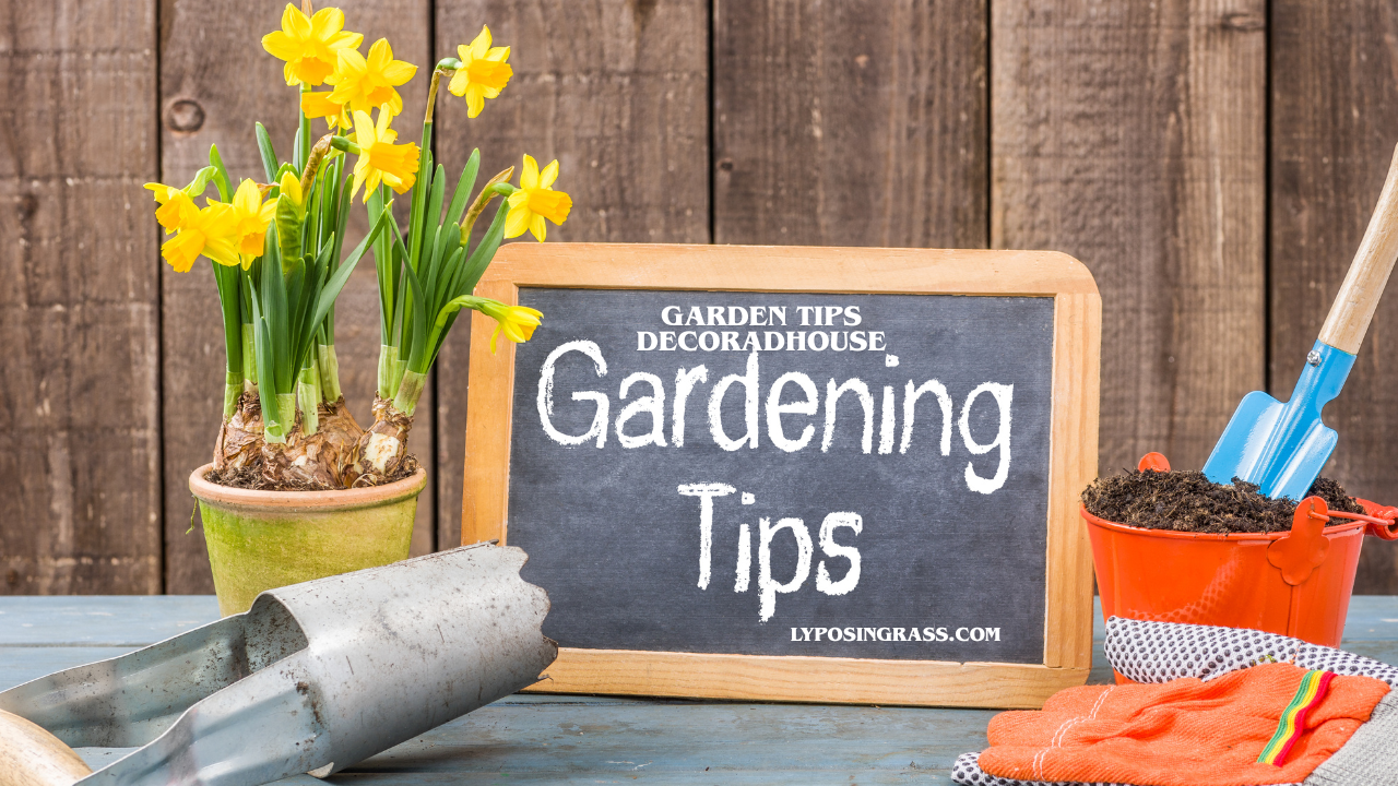 garden tips decoradhouse