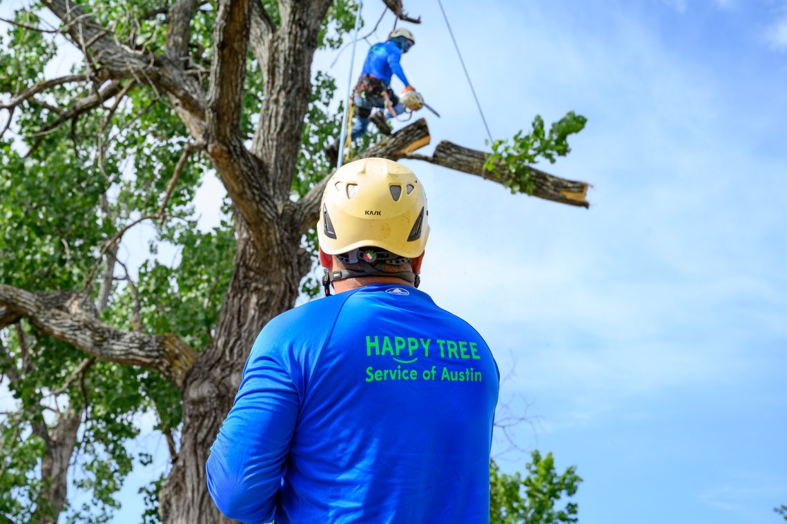 Tree Services