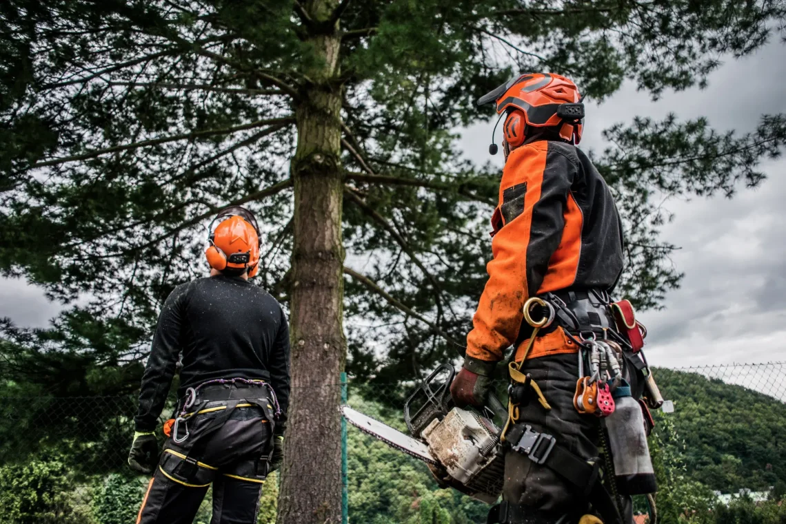 Arborist
