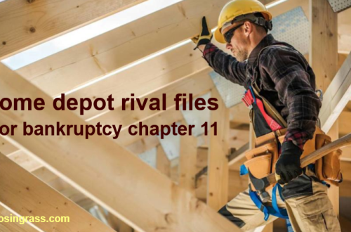 home depot rival files for bankruptcy chapter 11