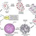describe how this exercise demonstrates the principle of phage typing