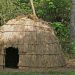 what type of homes did the atakapa tribe live in