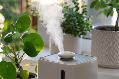 how to increase humidity in home
