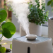 how to increase humidity in home